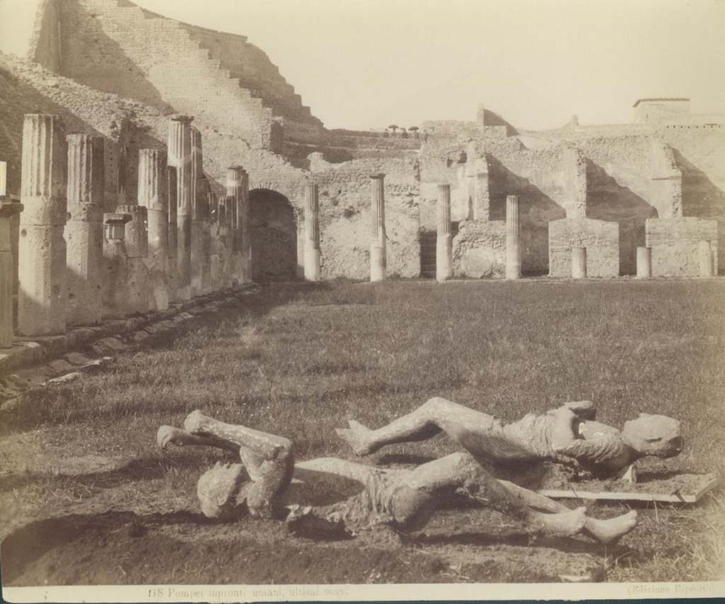 Victims numbered14 and 15, photographed in the Gladiator’s Barracks, looking north towards the Large Theatre.
On the left, victim numbered 15.
On the right, victim numbered 14.
Photo courtesy of Eugene Dwyer.
