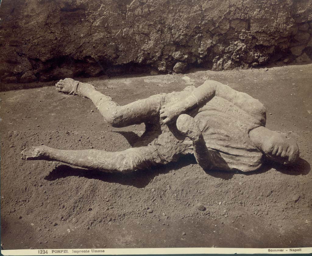 VII.9.7 and VII.9.8 Pompeii. July 2011. Plaster cast of victim number 15 photographed in north-west corner of Macellum. 
Photo courtesy of Rick Bauer.
According to Dwyer, described as victim no. 15, this plaster cast was a woman of mature age.
She had been found lying face down on her stomach and half-clothed, her arms stretched before her.
See Dwyer, E., 2010. Pompeii’s Living Statues. Univ. of Michigan Press: (p.106-7)  
According to Garcia y Garcia, she was known as victim no.14.
This victim was recovered from near the Porta Stabia on 11th October 1889.
She had fallen face down but was always displayed as if she was found lying on her back.
See Garcia y Garcia, L., 2006. Danni di guerra a Pompei. Rome: L’Erma di Bretschneider. (p. 193-4, Figg. 451-3).

Near them were found the impressions of some trees, one of which it was possible to cast. Its height is 3.40m, and the diameter of the trunk is about 0.40m. 
See Notizie degli Scavi di Antichità, 1889 (p. 369 and p. 407)
It proved to be a laurel which bears round fruit in the autumn, adding weight to Ruggiero’s (and Fiorelli’s) conviction that the volcano had erupted on 23rd November and not 24th August.
See Dwyer, E., 2010. Pompeii’s Living Statues. Univ. of Michigan Press: (p.106)  
 
