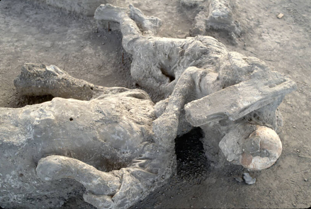 Female victim 71 with arm over the head of male victim 72. Victim 70
The presence of bricks and casts of wooden beams, one on the right shoulder of victim 71, indicates that the victim, like the others of the group to which she belongs, was hit by the collapse of the structures knocked down by the violence of the burning cloud.
See Osanna, N., Capurso, A., e Masseroli, S. M., 2021. I Calchi di Pompei da Giuseppe Fiorelli ad oggi: Studi e Ricerche del PAP 46, p. 484, Calco n. 71.
