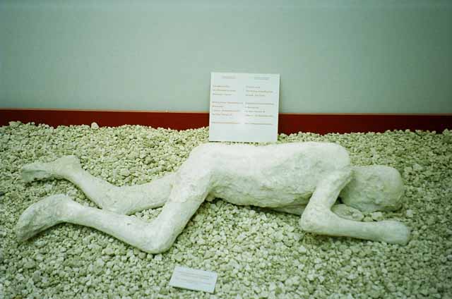 Victim number 23. Plaster-cast of young man from garden area of I.6.2. February 2011. Photo courtesy of Michael Binns.