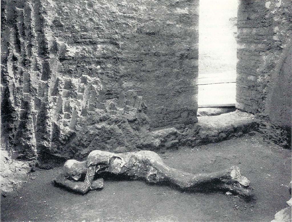 Villa of Mysteries, Pompeii. 1909-10. Victim 25. Room 35. The Ostiarius? 
He was found lying down on the layer of ashes deposited on the floor of a dark and low room (n. 35). Under the skullcap, the strongly hooked nose, the line of the neck and the thinness of the cheeks show the typical Italic worker from Campania.
Villa dei Misteri, Pompei. 1909-10. Vittima 25. Ambiente 35. L'ostiario? 
Lo si rinvenne coricato bocconi sullo strato di cenere depositato sul pavimento d'un buio e basso stanzino (n. 35). Sotto la calotta cranica, si delinea, nel naso fortemente adunco, nella linea del collo, nella magrezza delle guance, il tipo italico del lavoratore campano.
See/Vedi Maiuri A., 1967. La Villa dei Misteri. Istituto poligrafico dello stato/libreria dello stato, p.10.