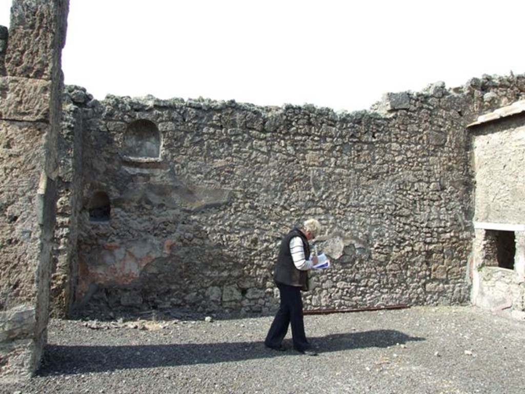 IX.2.17 Pompeii. March 2009. Room 1, atrium, two niches in west end of north wall. According to Boyce, the walls of both were coated with white stucco.  Fiorelli referred to them as due nicchie per I Penati.
See Boyce G. K., 1937. Corpus of the Lararia of Pompeii. Rome: MAAR 14. (p.81) 
The remains of the high red zoccolo can be seen on the north wall below the niches.
