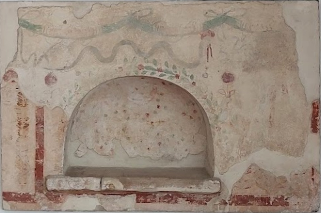 From an unknown building in Scafati. White-ground wall surface with arched niche in the middle at the bottom.
Now in Minori, Antiquarium della Villa Romana, without Inv. No. 
The interior walls of the niche are decorated with red and green dots. The remains of a crescent moon or wreath have been preserved at the top of the back wall. The course of the arch is accompanied by a band of leaves. At approximately the height of the apex of the arch, one red pomegranate with small branches is depicted outside the niche on the right and two on the left. Above the niche, a gray snake moves in several coils to the right. There is another pomegranate near the snake's head. Three garlands are painted at the top of the picture. Faint traces of paint to the right of the niche could come from a figure. 
The painting described so far is covered in places in the lower area by a younger, thick, white plaster, on which a vertical red line and the end of a hanging garland have been preserved to the left of the niche, as well as another red line under the niche. To the right of the niche, the younger plaster also bears faint remains of paint from a depiction that can no longer be reconstructed. 
Dating: The 1st phase of the Middle Third Style, Augustan-Tiberian.
See A. De Franciscis, in: Napoli e dintorni. Guida d'Italia del Touring Club italiano (1976) p. 566.
See Fröhlich, T., 1991. Lararien und Fassadenbilder in den Vesuvstädten. Mainz: von Zabern, L124, p. 304, Taf. 50,1.
