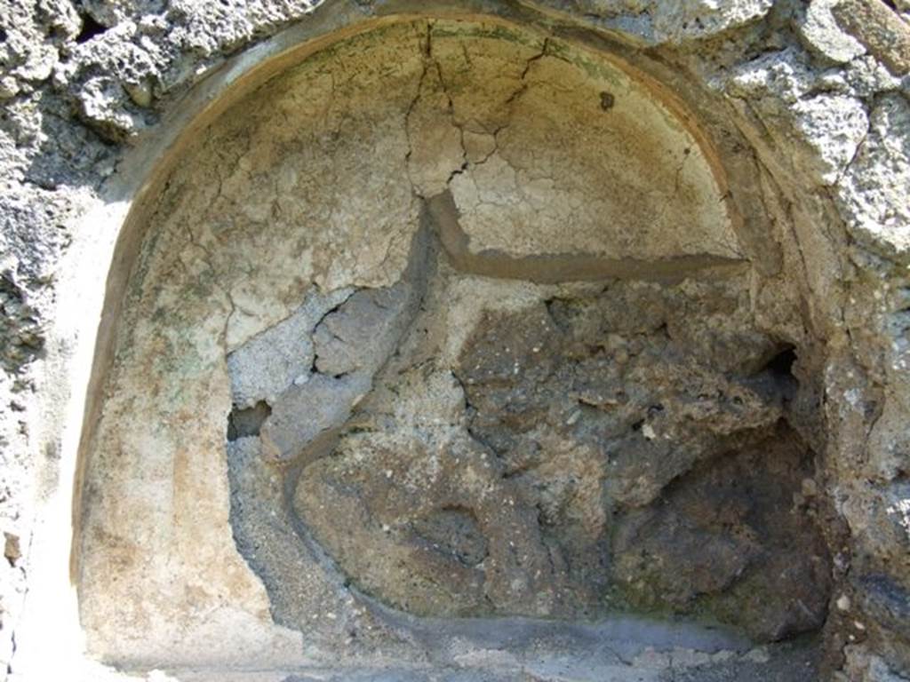 I.10.8 Pompeii. March 2009. Room 14, arched niche.
According to Boyce and Giacobello, in the east wall of the garden was an arched niche with a very thick projecting floor.
The side walls were yellow, and the rear wall was white, and upon it was a painting.
Of this painting only, a green tree was visible to Boyce in 1937.
On the white surface of the wall to the left of the niche, a Lar was painted in blue garments. He held as situla in his lowered right hand but his left was not preserved.
See Notizie degli Scavi di Antichità, 1934, p. 316.
See Boyce G. K., 1937. Corpus of the Lararia of Pompeii. Rome: MAAR 14. (p.29, no.58) 
See Giacobello, F., 2008. Larari Pompeiani: Iconografia e culto dei Lari in ambito domestico.  Milano: LED Edizioni. (p.257)

