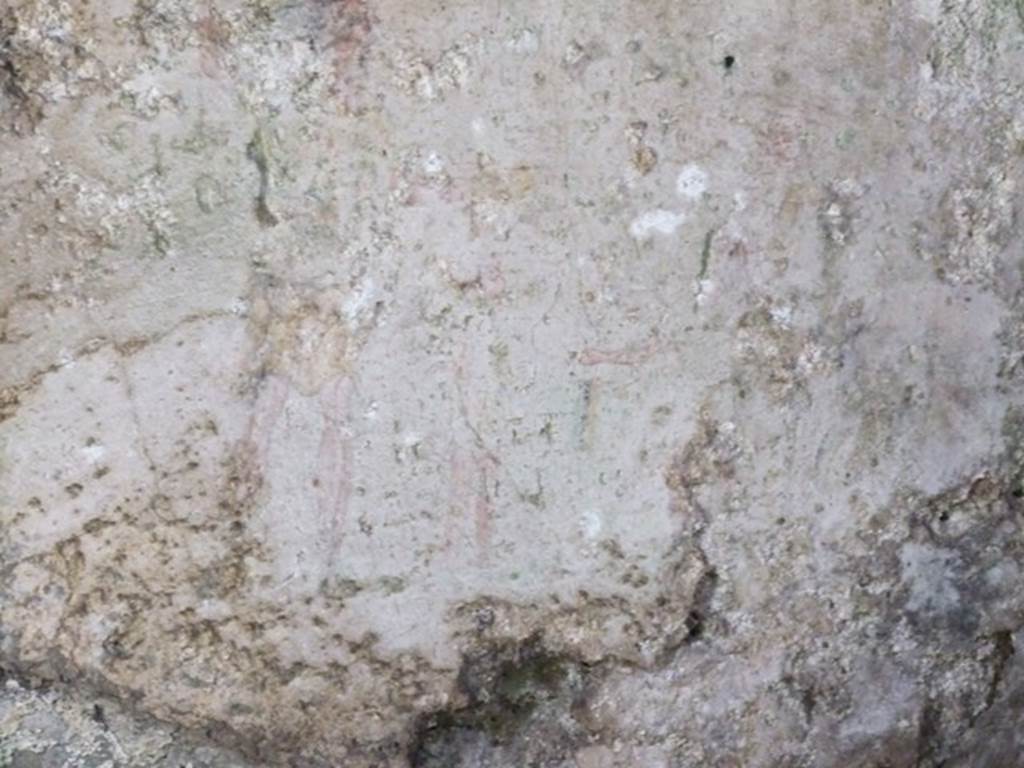 VI.9.10 Pompeii. March 2009. North wall of kitchen with remains of painted lararium.