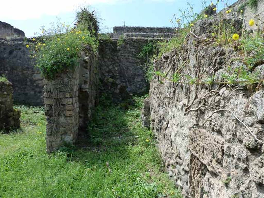 VII.3.23 Pompeii. May 2010.  Looking west towards garden, on the left, and rear corridor to kitchen, on the right, from the small atrium.
According to Liselotte Eschebach the small atrium had a sacellum and garden. See Eschebach, L., 1993. Gebäudeverzeichnis und Stadtplan der antiken Stadt Pompeji. Köln: Böhlau. (p.269)
According to Boyce, on the wall of one of the rear rooms of VII.3.22/23, was a painting of two serpents confronted at an altar; in the background were plants and among them, at the time, was visible the tail of a third serpent, but the rest of the body had disappeared.  Below the painting was the graffito: LARES/PROPI/tiOS. (CIL IV 844).
See Boyce G. K., 1937. Corpus of the Lararia of Pompeii. Rome: MAAR 14. (p.65)
