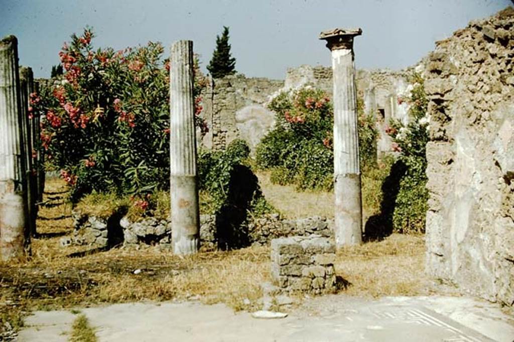 1.4.25 Pompeii. 1957. Looking from room 35 across peristyle garden area. Photo by Stanley A. Jashemski.
Source: The Wilhelmina and Stanley A. Jashemski archive in the University of Maryland Library, Special Collections (See collection page) and made available under the Creative Commons Attribution-Non-Commercial License v.4. See Licence and use details.
J57f0329

