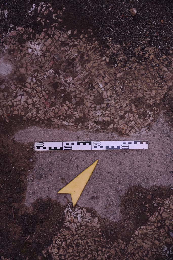 I.4.25 Pompeii. October 2019.
Unnumbered room next to room 30, (? room 66, cubiculum). Detail of flooring.
Foto Tobias Busen, ERC Grant 681269 DCOR.
