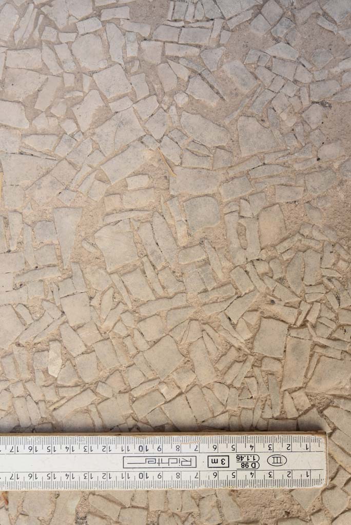 I.4.25 Pompeii. September 2020.
Unnumbered room next to room 30, (? room 66, cubiculum). Detail of flooring.
Foto Tobias Busen, ERC Grant 681269 DCOR.
