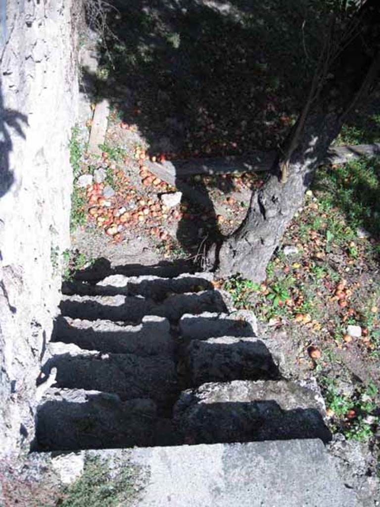 I.5.2 Pompeii. September 2010. 207 Stairs leading down to open area, from south side of peristyle garden. Looking east. Photo courtesy of Drew Baker.
According to Jashemski, this was a large open area from which previous construction had been cleared. It was excavated in 1873-4.
Five doors in the south wall leading to the pomerium had been blocked up. Viola suggested that the garden was used for drying the leather in the sun. Tatiana Warscher believed the site was used as a kitchen garden.
See Jashemski, W. F., 1993. The Gardens of Pompeii, Volume II: Appendices. New York: Caratzas. (p.33)
Viola, Scavi, p.15
Warscher, Codex
