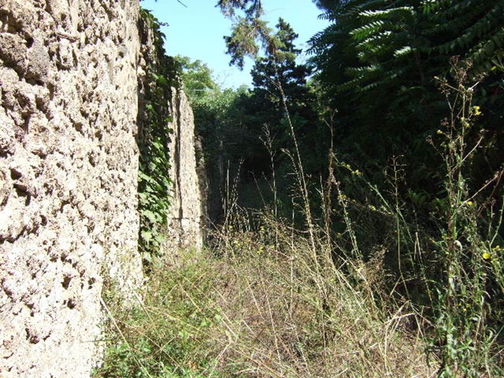 I.5 Pompeii. September 2005.   Vicolo looking east.       Town walls near Stabian Gate.