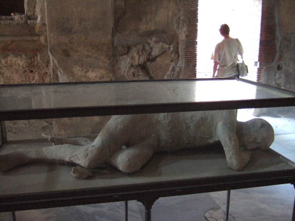 Found in I.5.3. in 1873, now on display in VII.1.8 The Stabian Baths, mens changing room. 
Known as the Seventh Victim or The Sick Man or the Sleeping Man.
This plaster cast was recovered by Fiorelli on 25th September 1873 during the excavation of the garden of I.5.3.  
This was one of the human plaster casts, as were in the Pompeii Antiquarium prior to the 1943 bombing  then either destroyed or now restored and on display elsewhere.
See Pappalardo, U., 2001. La Descrizione di Pompei per Giuseppe Fiorelli (1875). Napoli: Massa Editore. (p.165)
See SSANP: Boscoreale Antiquarium exhibition catalogue: The Casts, 5 March  20 December 2010. (p.7)
See Garcia y Garcia, L., 2006. Danni di guerra a Pompei. Rome: LErma di Bretschneider. (p.191)
See Dwyer, E., 2010. Pompeiis Living Statues. Univ. of Michigan Press. (p.85)