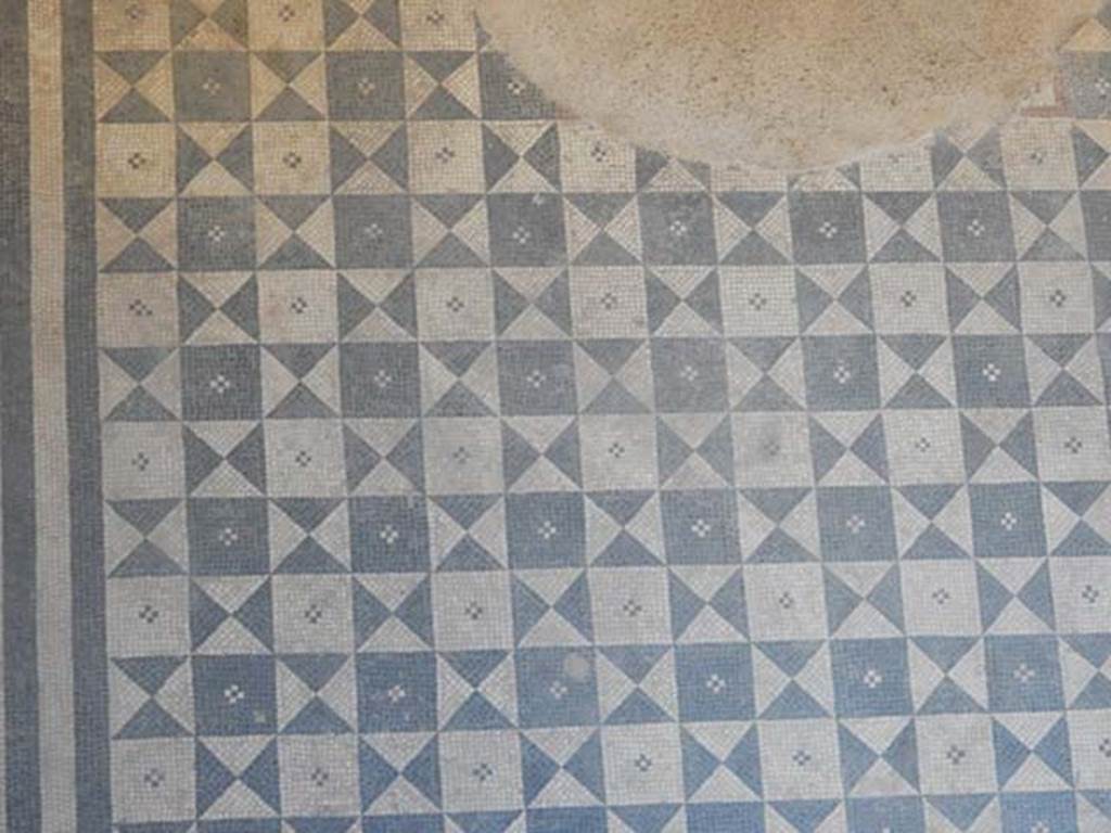 I.6.2 Pompeii. May 2016. Detail of mosaic flooring in frigidarium. Photo courtesy of Buzz Ferebee.

