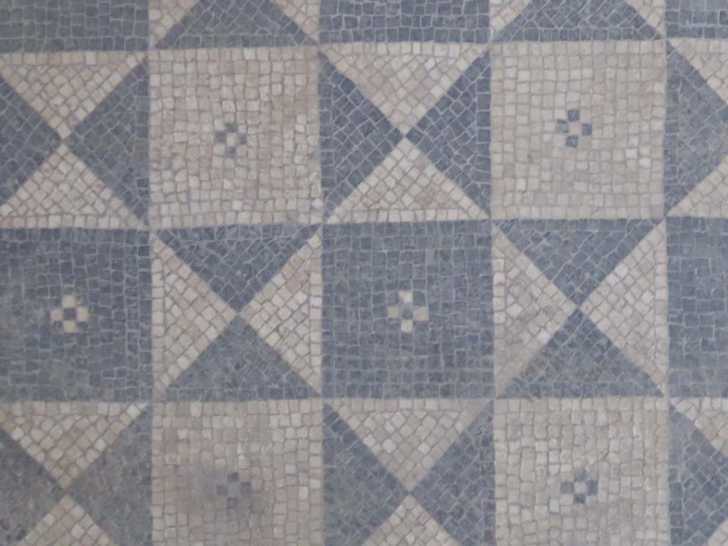 I.6.2 Pompeii. September 2017. Detail of a mosaic flooring in frigidarium.
Foto Annette Haug, ERC Grant 681269 DCOR.
