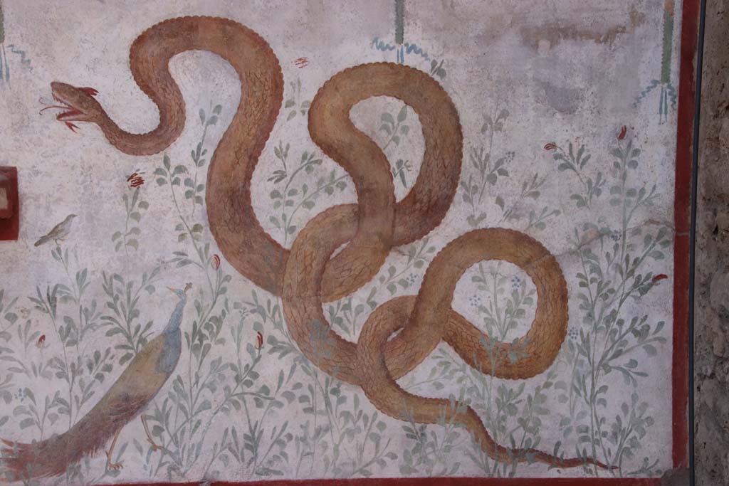 I.6.2 Pompeii. September 2019. Large serpent, on the painted lararium, above bird and peacock.   
Photo courtesy of Klaus Heese.
