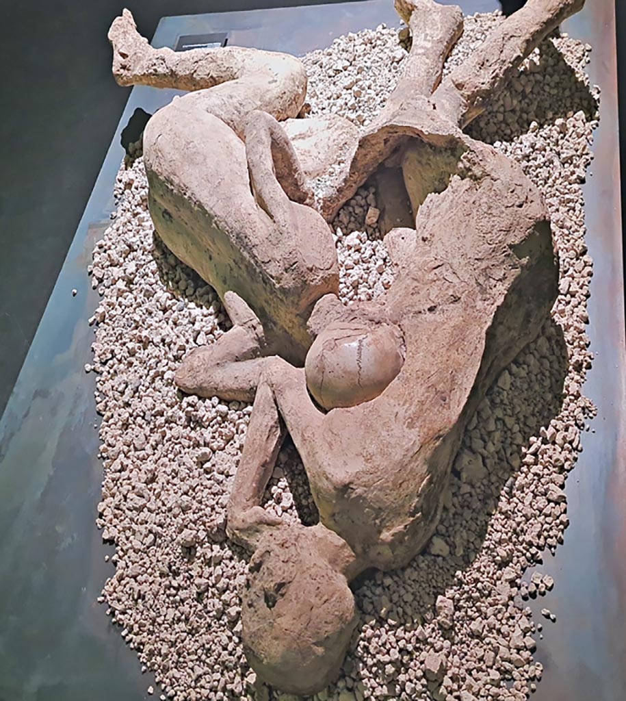 I.6.2 Pompeii. March 2024. 
Resin plaster cast of two embracing victims found above the garden area. Photo courtesy of Giuseppe Ciaramella.
On display in exhibition in Palaestra entitled – “L’altra Pompei, vite comuni all’ombra del Vesuvio”. 


