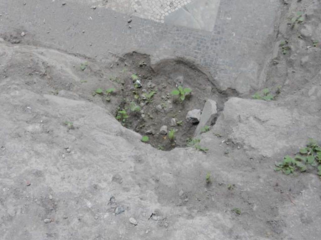 I.7.3 Pompeii. May 2017. Detail from north side of impluvium. Photo courtesy of Buzz Ferebee.