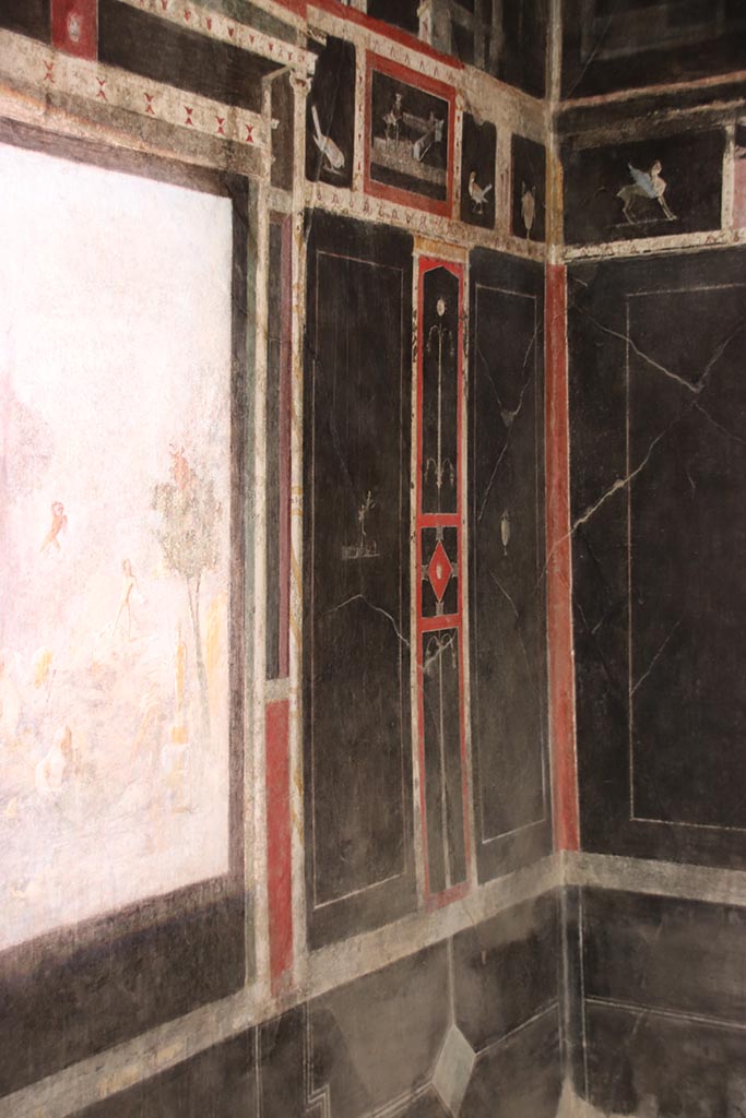 I.9.5 Pompeii. October 2024. 
Room 10, north-west corner of triclinium. Photo courtesy of Klaus Heese
