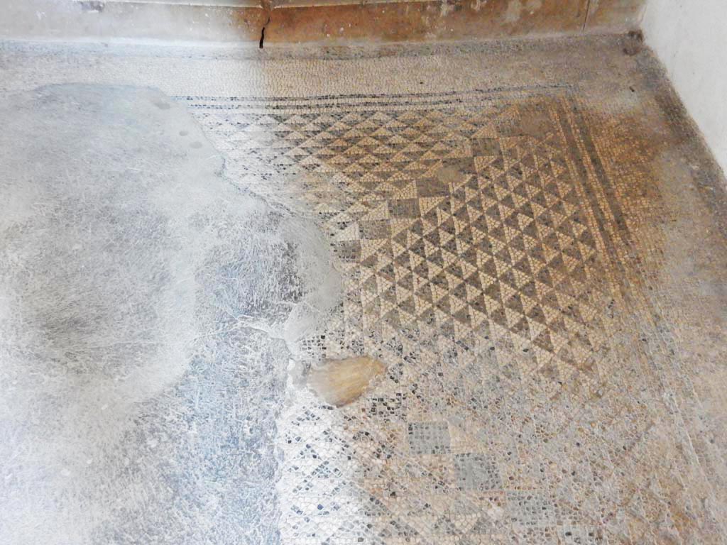 I.9.5 Pompeii. May 2017. Room 11, detail of flooring in cubiculum. Photo courtesy of Buzz Ferebee.