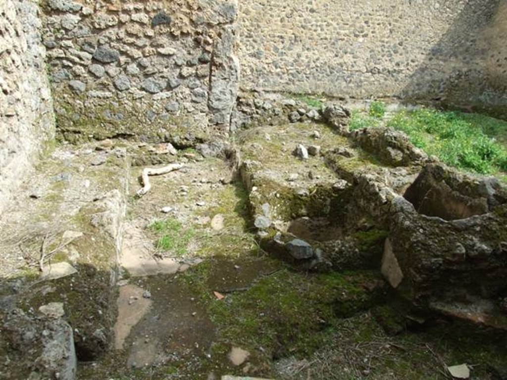 I.9.11 Pompeii.  March 2009.  Structure at the rear of yard area 