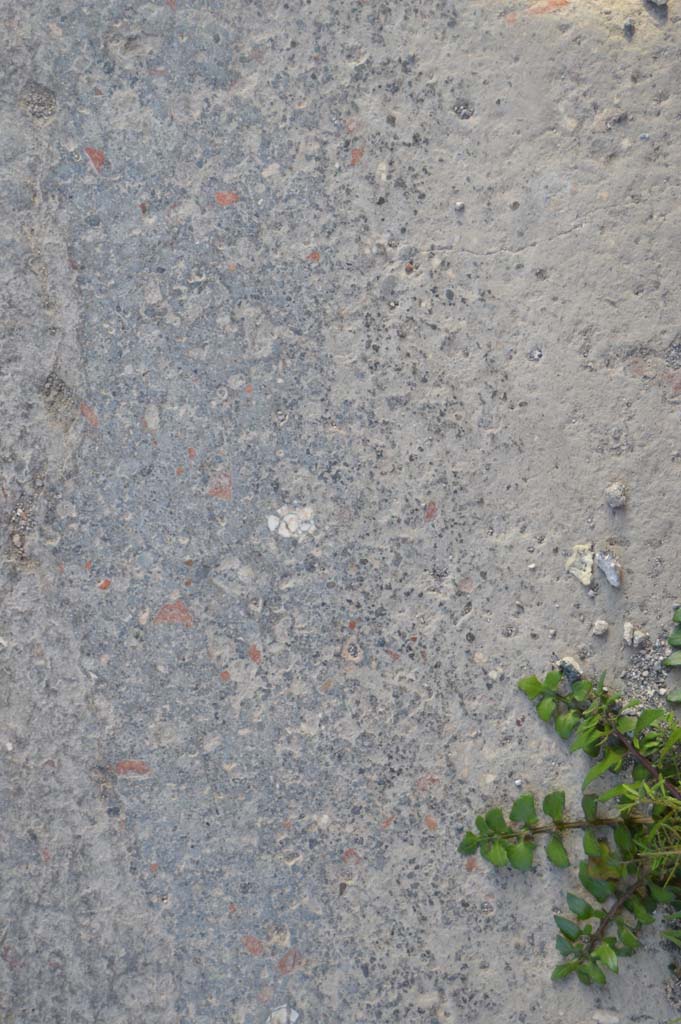 I.9.13 Pompeii. March 2019. Detail of pavement.
Foto Taylor Lauritsen, ERC Grant 681269 DÉCOR.
