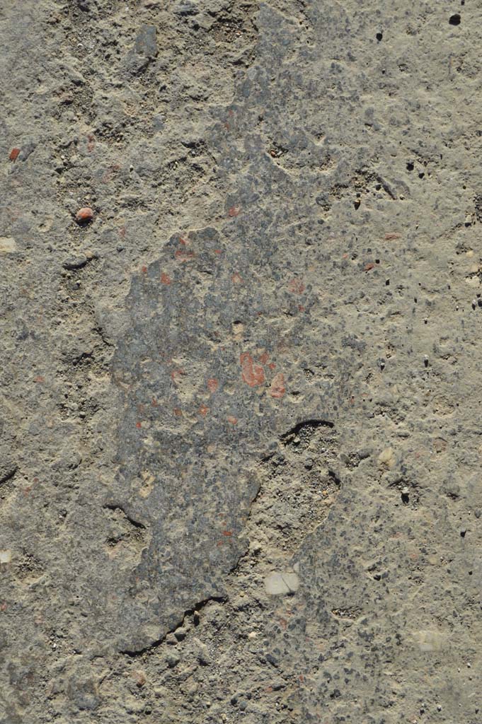 I.9.13 Pompeii. March 2019. Detail from pavement.
Foto Taylor Lauritsen, ERC Grant 681269 DÉCOR.
