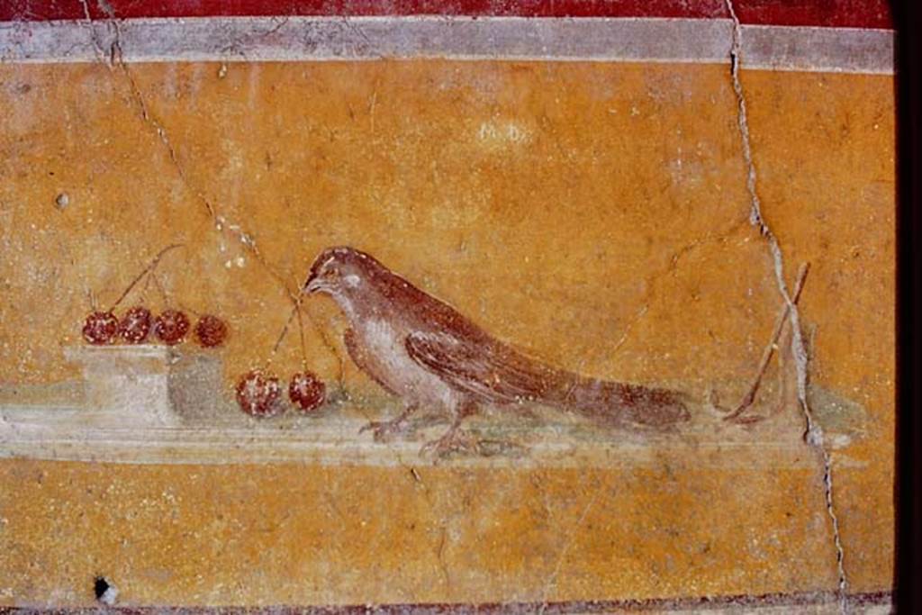 1.10.4 Pompeii. May 2010. North-east corner of atrium. Painting of bird on north wall.