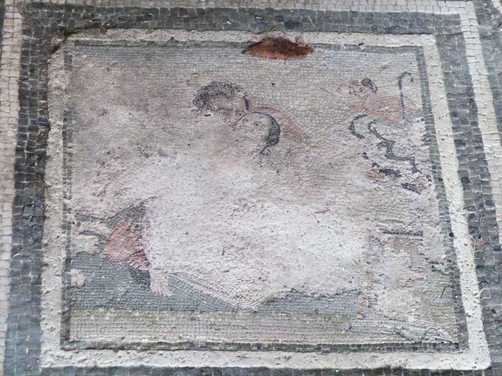 I.10.4 Pompeii. September 2021. Room 21, mosaic emblema of satyr and maenad. Photo courtesy of Klaus Heese.