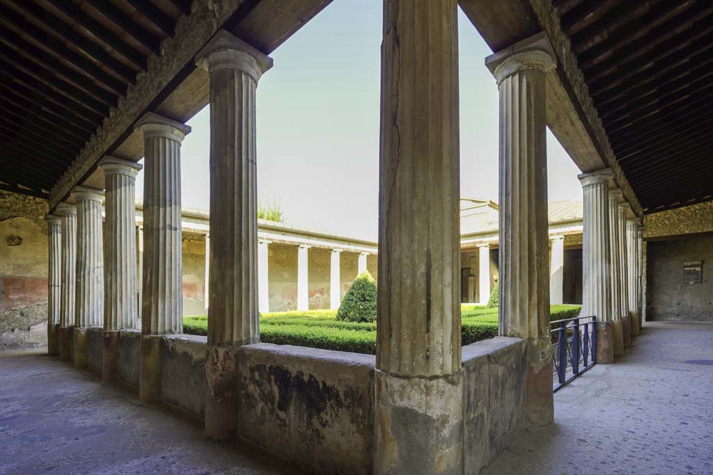 I.10.4 Pompeii. August 2021. 
Looking north-west across peristyle garden from portico in south-east corner. Photo courtesy of Robert Hanson.
