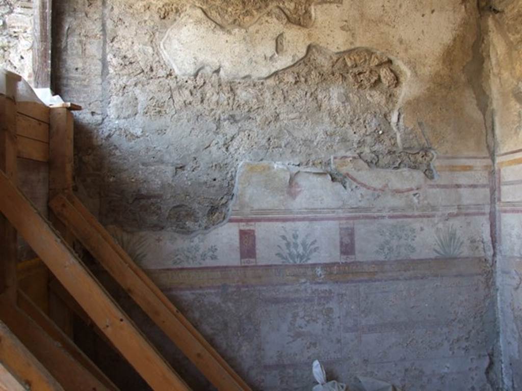I.10.8 Pompeii. March 2009. Room 8, east wall of tablinum with painted plant decoration.