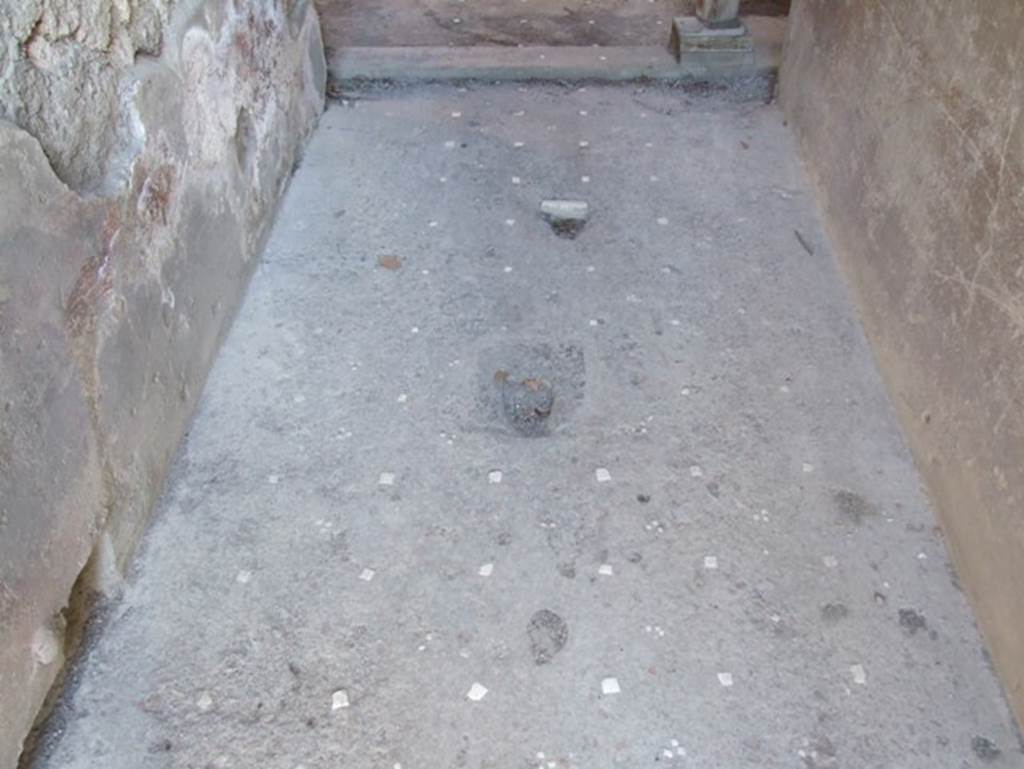 I.10.11 Pompeii. March 2009. Room 1, decorative floor in entrance corridor.  