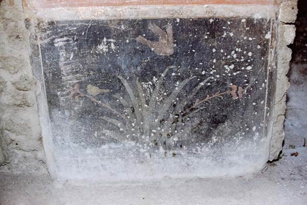 I.10.11 Pompeii. 1959. Room 2, painted plant with birds on black zoccolo on west wall in south-west corner of atrium. Photo by Stanley A. Jashemski.
Source: The Wilhelmina and Stanley A. Jashemski archive in the University of Maryland Library, Special Collections (See collection page) and made available under the Creative Commons Attribution-Non Commercial License v.4. See Licence and use details.
J59f0282
