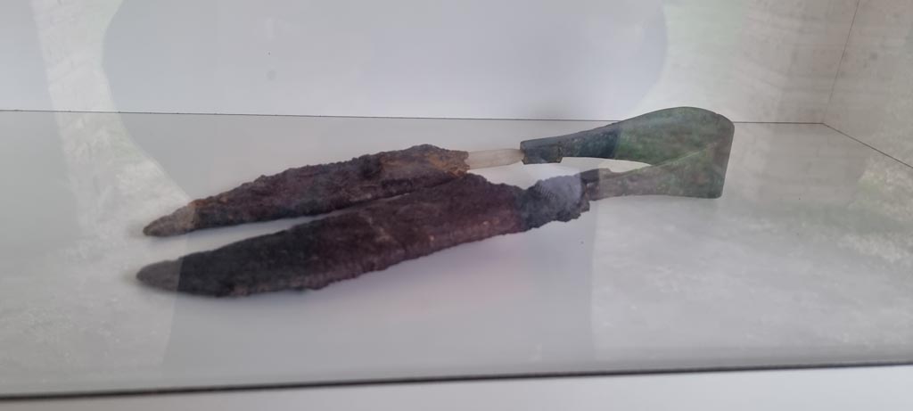 I.10.16 Pompeii, but on display in I.5.2 Pompeii. December 2023. 
Shears, on display in the tannery, with iron blades and bronze spring, found in room 43 of I.10.16 House of Menander. Photo courtesy of Miriam Colomer.

