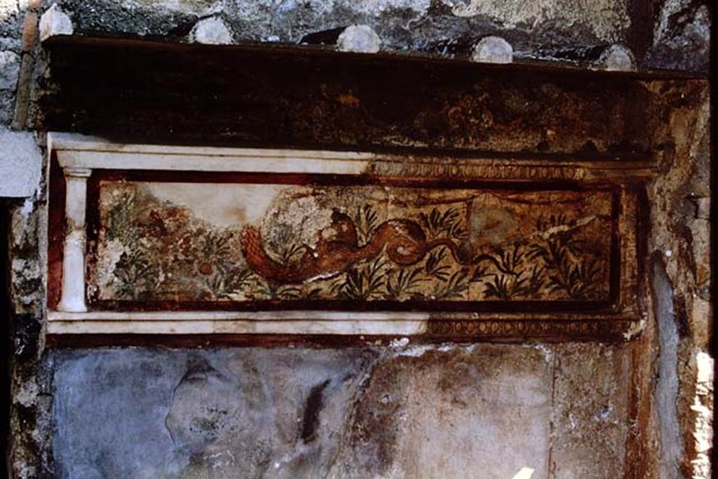 I.11.11 Pompeii. 1964. Lararium with a stucco border, on north wall of thermopolium. Photo by Stanley A. Jashemski.
Source: The Wilhelmina and Stanley A. Jashemski archive in the University of Maryland Library, Special Collections (See collection page) and made available under the Creative Commons Attribution-Non Commercial License v.4. See Licence and use details.
J64f1847
