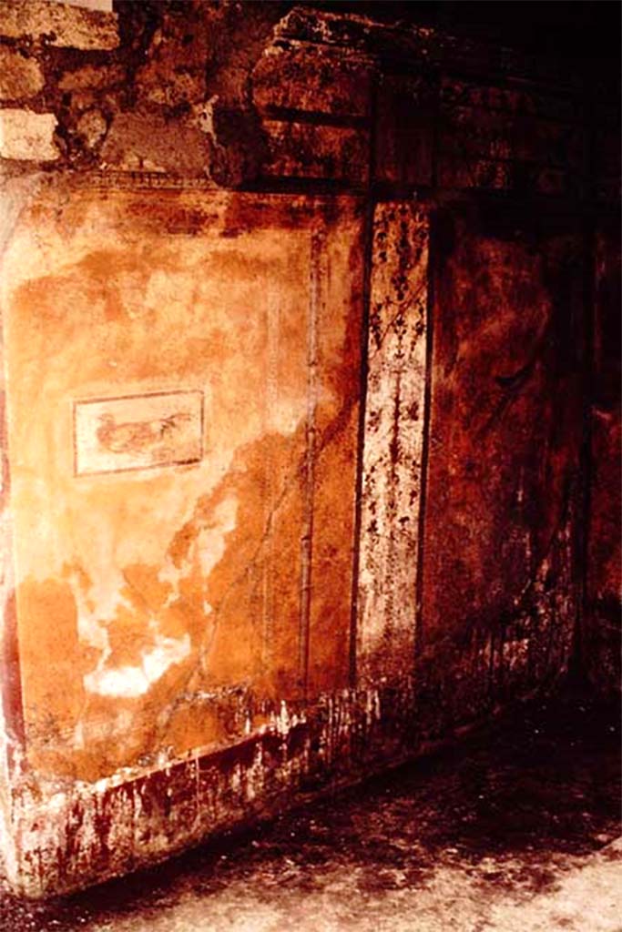 I.11.11 Pompeii.  December 2006.  Room.  West wall.