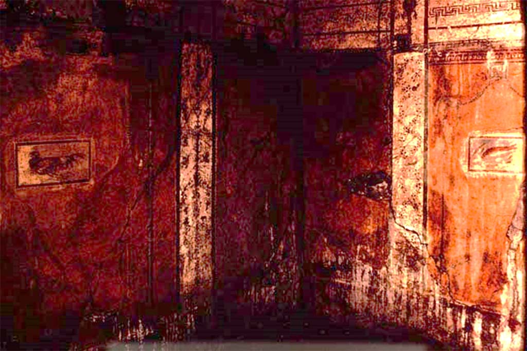 I.11.11 Pompeii. 1964. Painted panel from west wall. Photo by Stanley A. Jashemski.
Source: The Wilhelmina and Stanley A. Jashemski archive in the University of Maryland Library, Special Collections (See collection page) and made available under the Creative Commons Attribution-Non Commercial License v.4. See Licence and use details.
J64f1791
