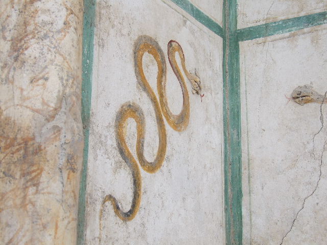 I.16.4 Pompeii. December 2006. Detail of serpent.