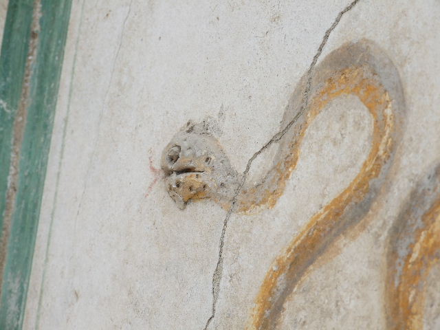 I.16.4 Pompeii. December 2006. Detail  showing stucco head of serpent and painted body.