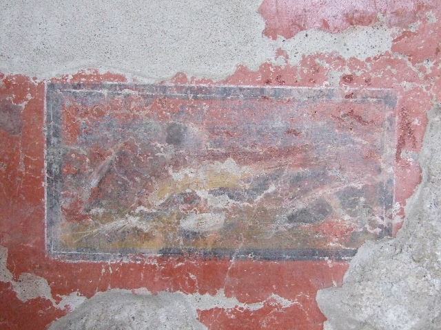 I.16.4 Pompeii. December 2006. Detail of wall painting of fish, from north wall of cubiculum.  