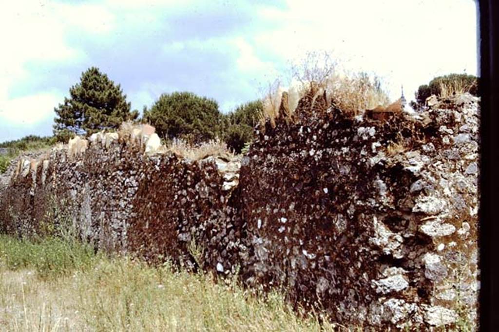 I.20.5 Pompeii. 1971. Exterior north wall, looking east. Photo by Stanley A. Jashemski.
Source: The Wilhelmina and Stanley A. Jashemski archive in the University of Maryland Library, Special Collections (See collection page) and made available under the Creative Commons Attribution-Non Commercial License v.4. See Licence and use details.
J71f0160
