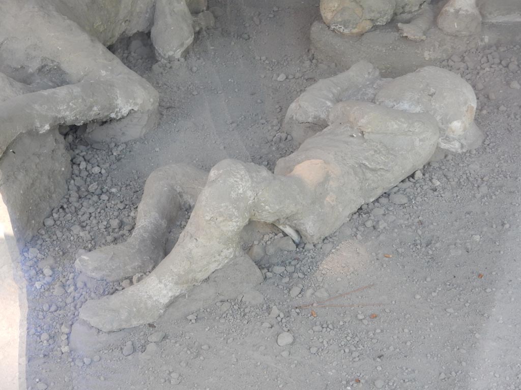 I.21.6 Pompeii. May 2016. Detail of a plaster cast of victim 37. Photo courtesy of Buzz Ferebee.