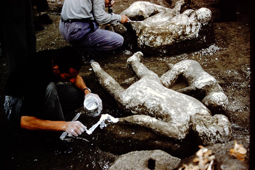 1.21.6 Pompeii. 1961. Putting the last gentle touches to the plaster cast. Victims 45 and 44.  Photo by Stanley A. Jashemski.
Source: The Wilhelmina and Stanley A. Jashemski archive in the University of Maryland Library, Special Collections (See collection page) and made available under the Creative Commons Attribution-Non-Commercial License v.4. See Licence and use details.
J61f0387
