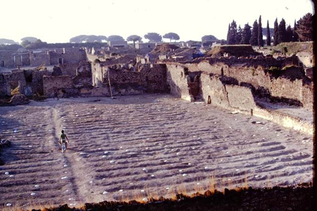I.21.6 Pompeii. 1974. Looking north-east across garden area where the painted discs have now replaced the stones. The white painted wooden discs were to ensure the balloon, photographing from above, would be able to easily identify the root cavities. Photo by Stanley A. Jashemski.   
Source: The Wilhelmina and Stanley A. Jashemski archive in the University of Maryland Library, Special Collections (See collection page) and made available under the Creative Commons Attribution-Non Commercial License v.4. See Licence and use details. J74f0692
