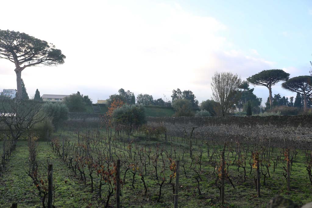 I.21.6 Pompeii. December 2018. Looking south-west across garden. Photo courtesy of Aude Durand.