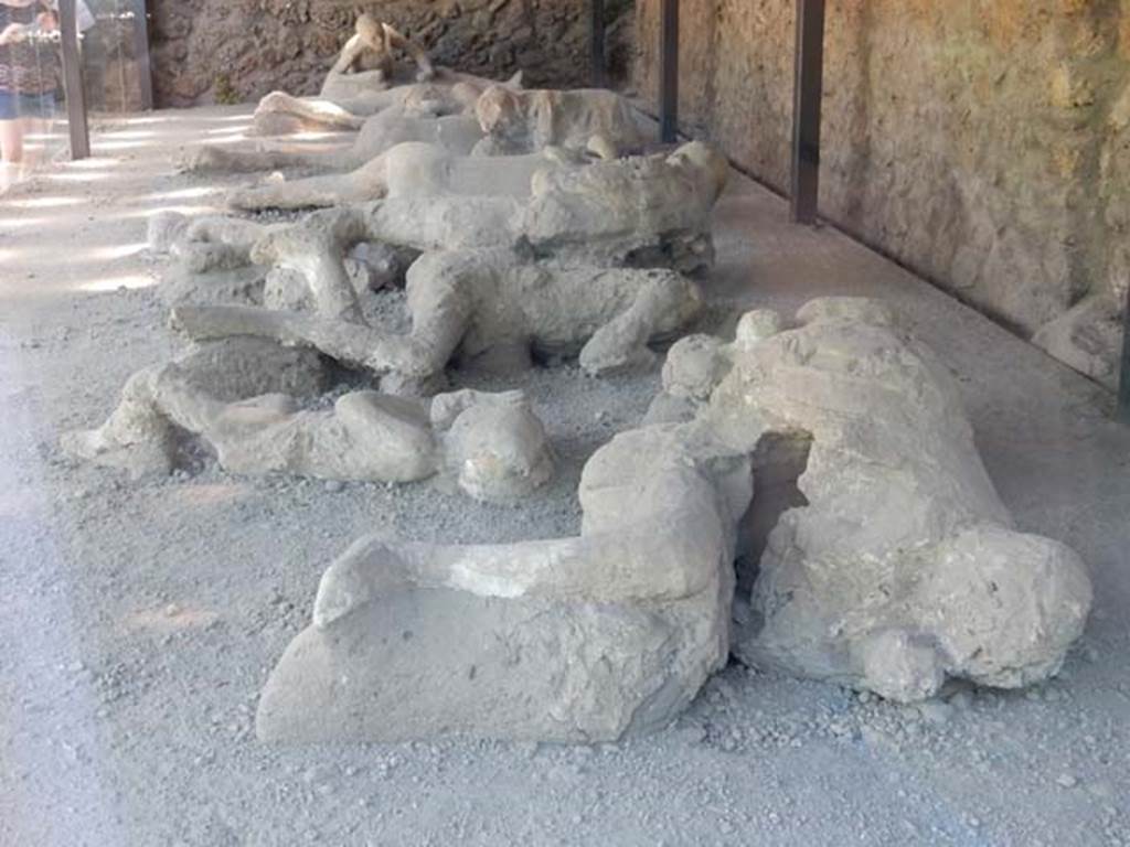 I.21.6 Pompeii. May 2016. Plaster casts of bodies. Photo courtesy of Buzz Ferebee.
