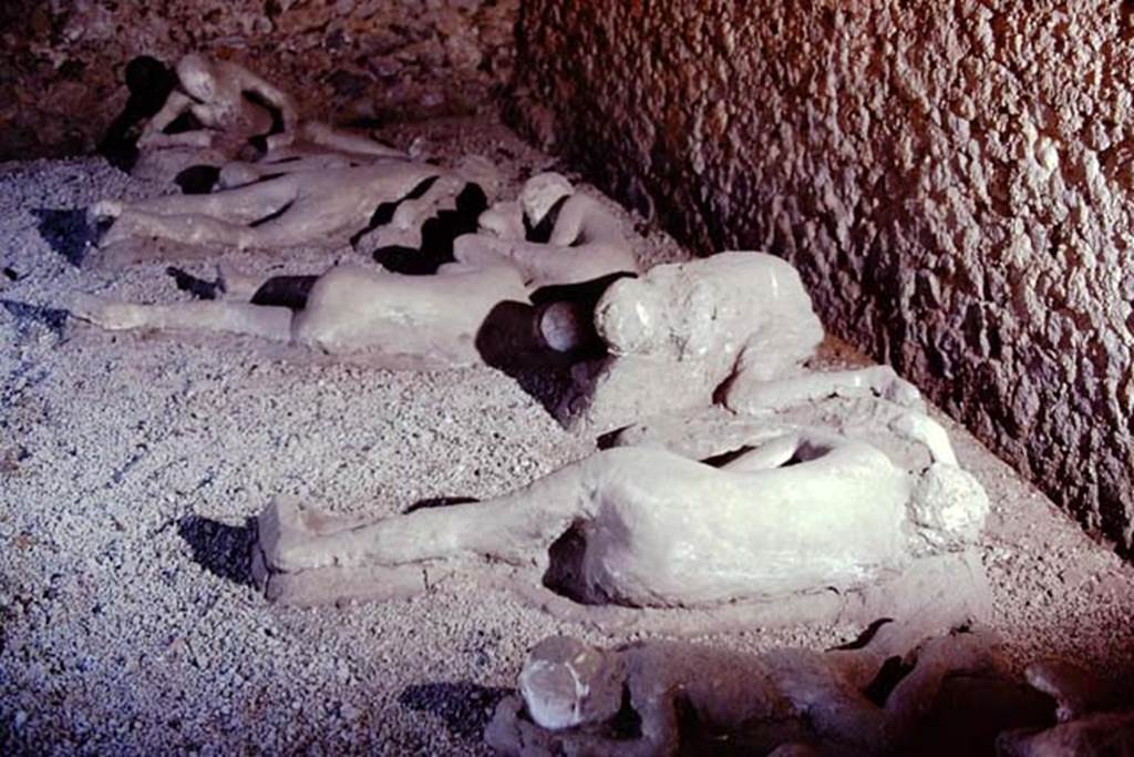 I.21.6 Pompeii. 1974. Plaster casts of bodies. Photo by Stanley A. Jashemski.   
Source: The Wilhelmina and Stanley A. Jashemski archive in the University of Maryland Library, Special Collections (See collection page) and made available under the Creative Commons Attribution-Non Commercial License v.4. See Licence and use details.  J74f0221

