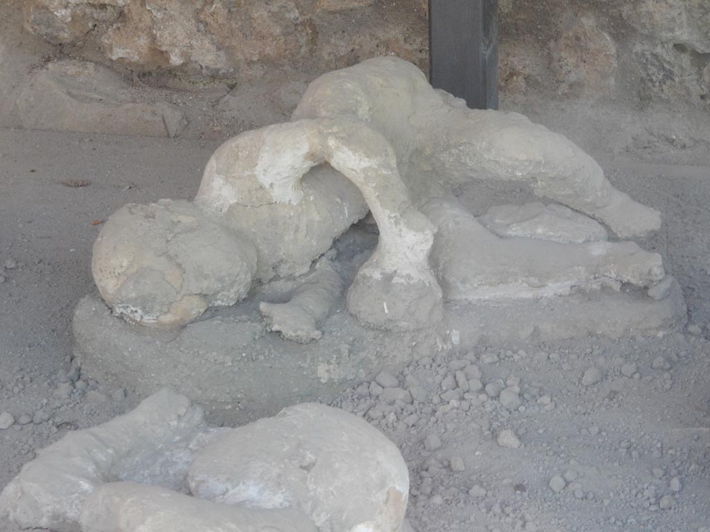 I.21.6 Pompeii. May 2016. Detail of plaster cast of victim 36. Photo courtesy of Buzz Ferebee.