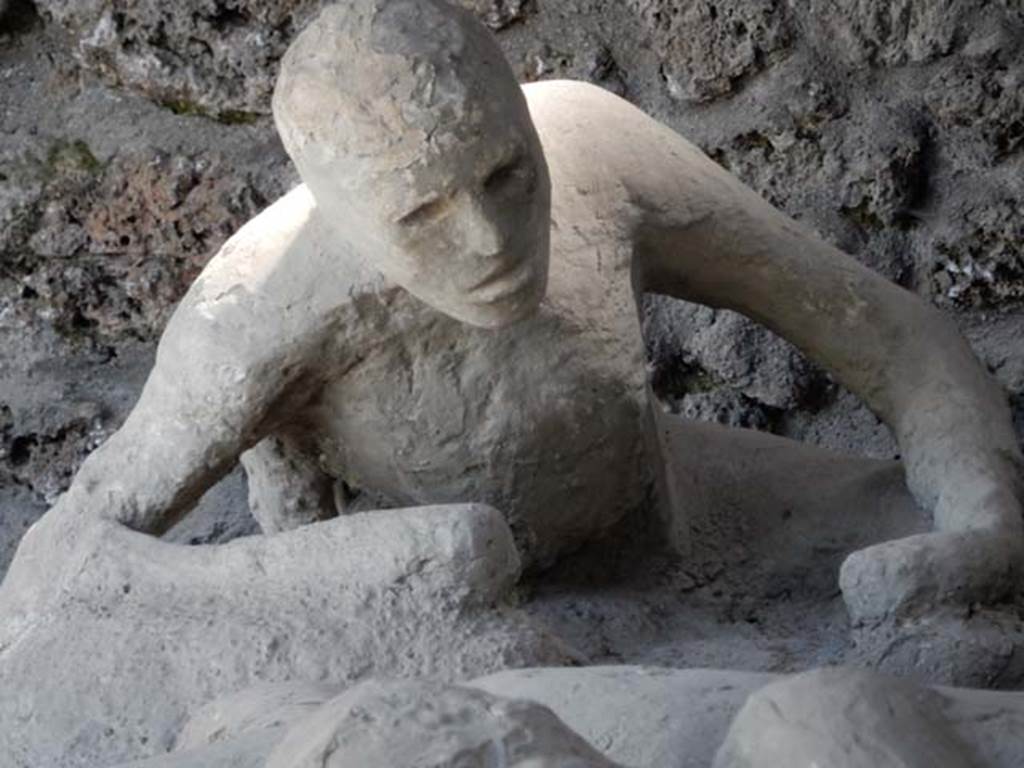 I.21.6 Pompeii. May 2016. Detail of a plaster cast. Photo courtesy of Buzz Ferebee.
