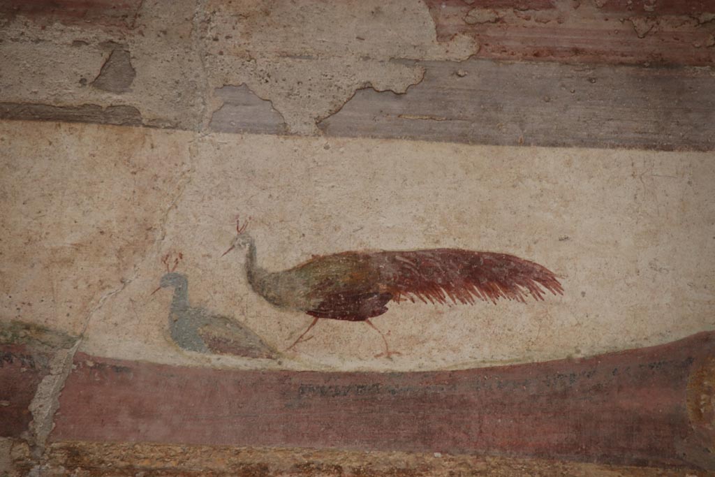 II.3.3 Pompeii. October 2023. Room 10, detail of painted peacocks from upper centre of south wall. Photo courtesy of Klaus Heese