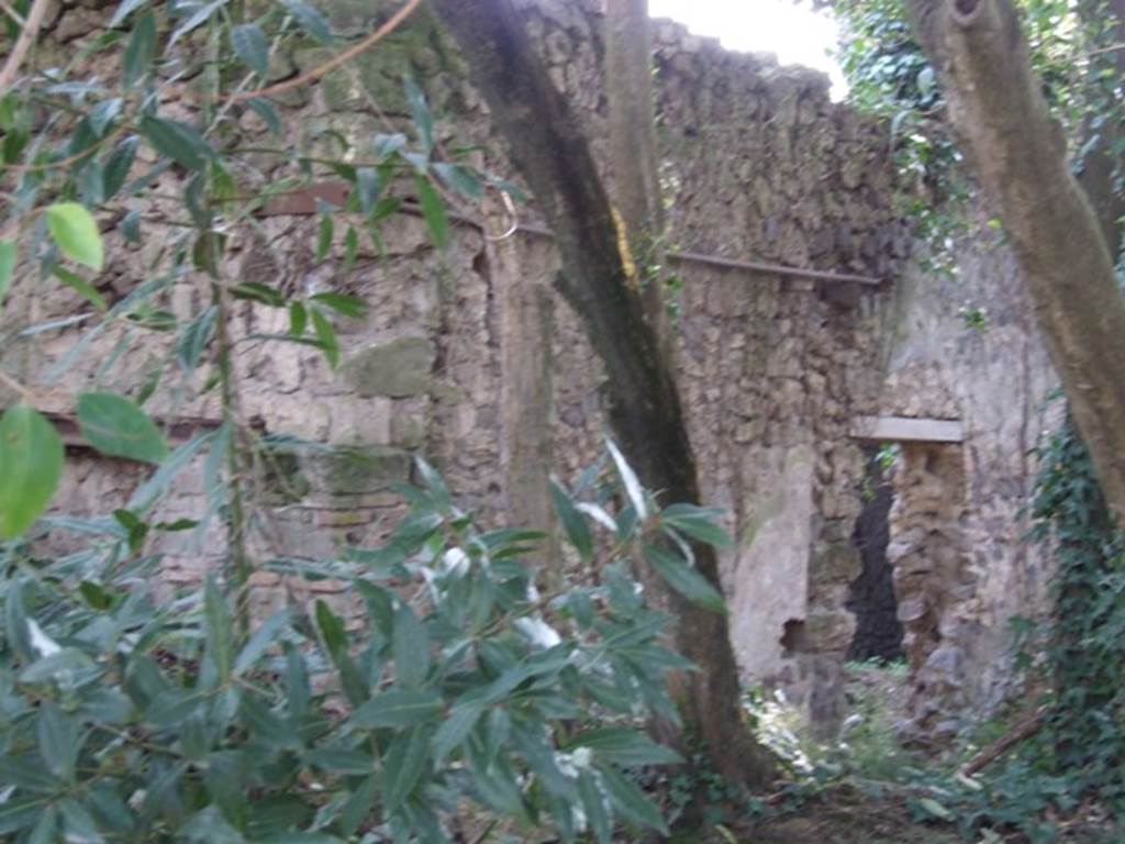 II.3.8 Pompeii. March 2009. Looking south from the garden of II.3.7 at the west wall of II.3.8.